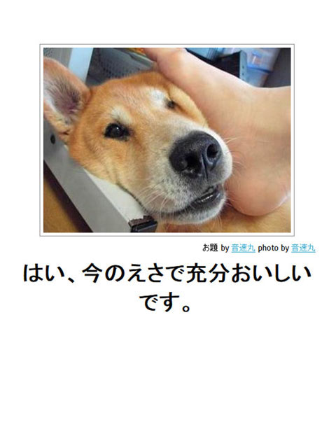 笑える画像集