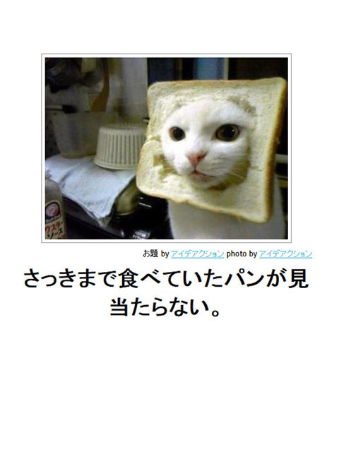 笑える画像集