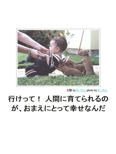 笑える画像集