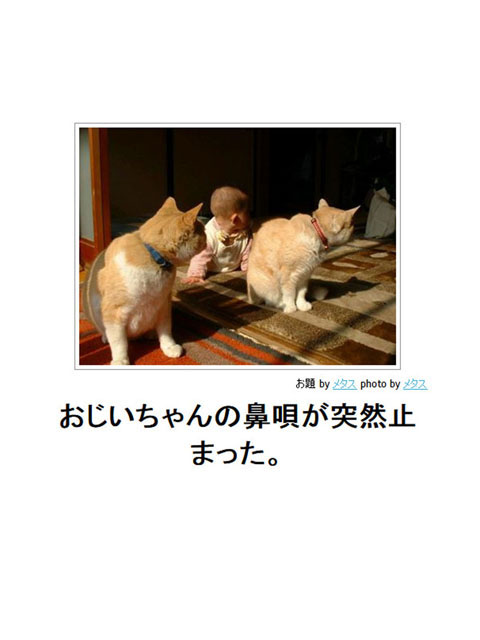 笑える画像集