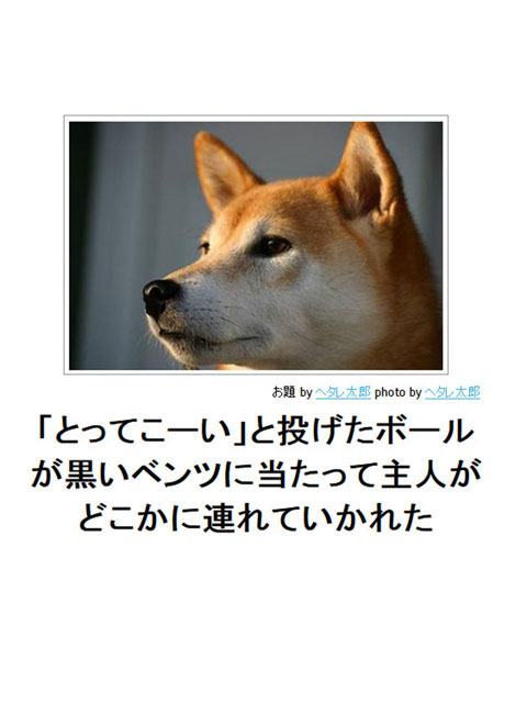 笑える画像集