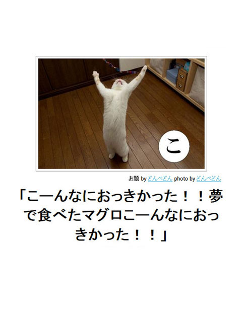 笑える画像集