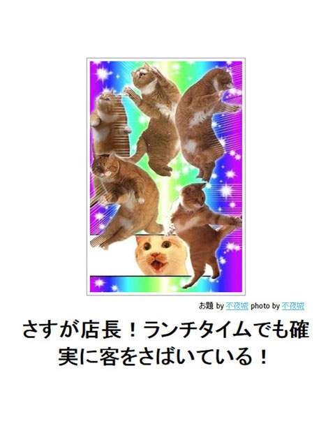 笑える画像集