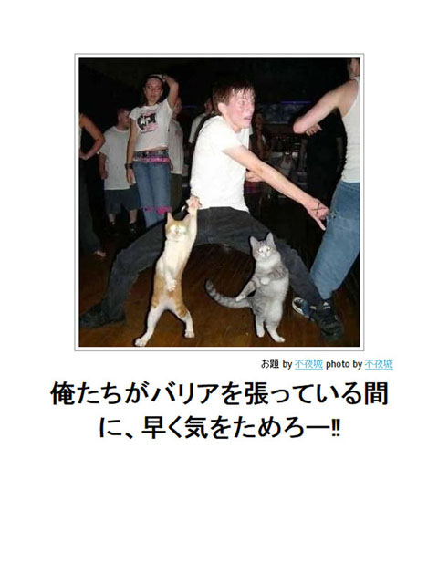 笑える画像集