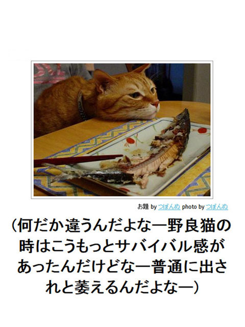 笑える画像集