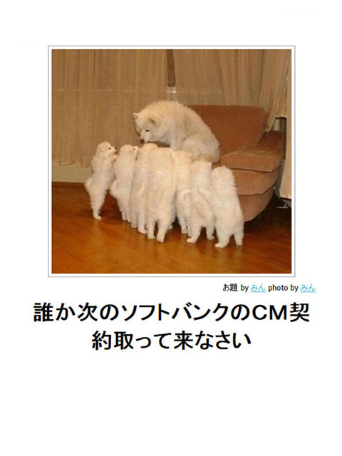 笑える画像集