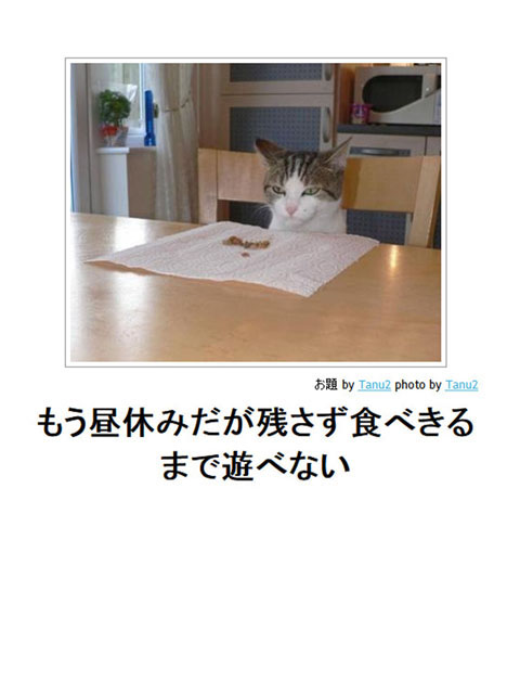 笑える画像集