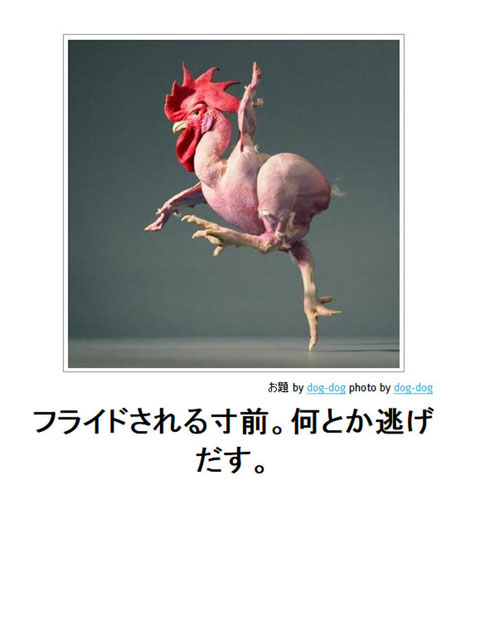 笑える画像集