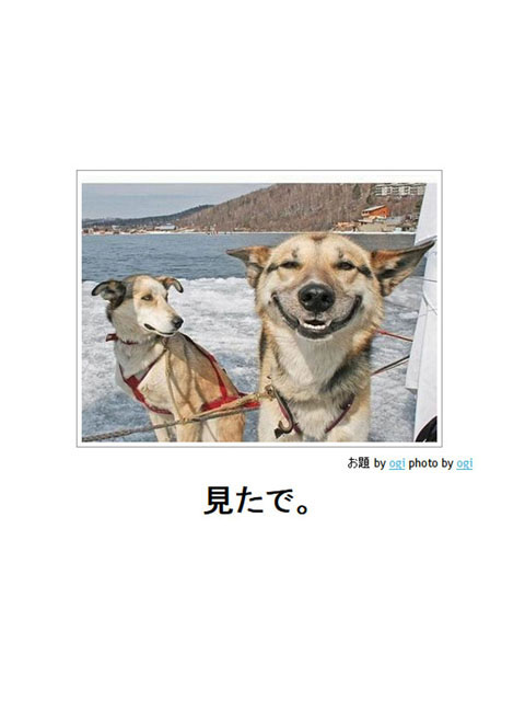 笑える画像集
